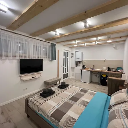 Cozy Apartment Brasov