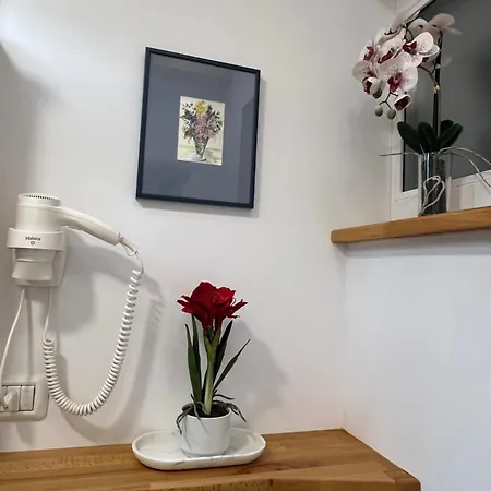 Cozy Apartment