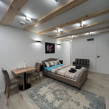 Cozy Apartment Brasov